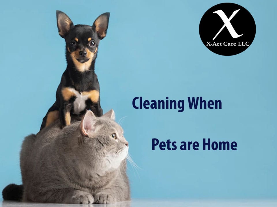 clean house
