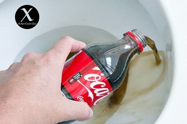 1 Toilet Cleaning Hacks