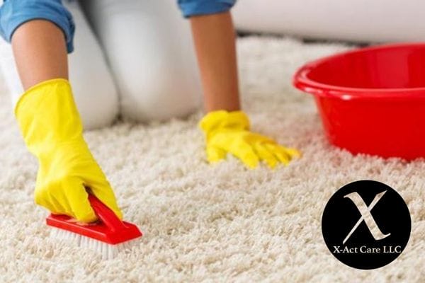 organic cleaning